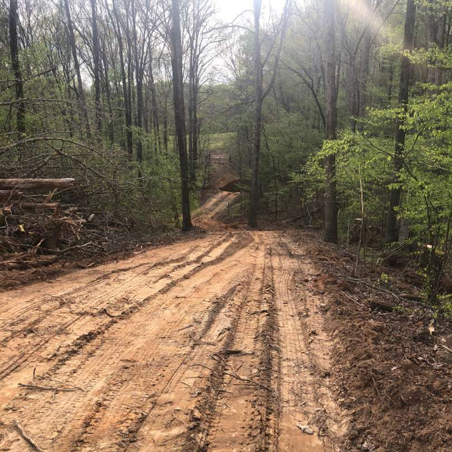 Excavation Contractor Reidsville & Greensboro, NC Hodges Dirt Works