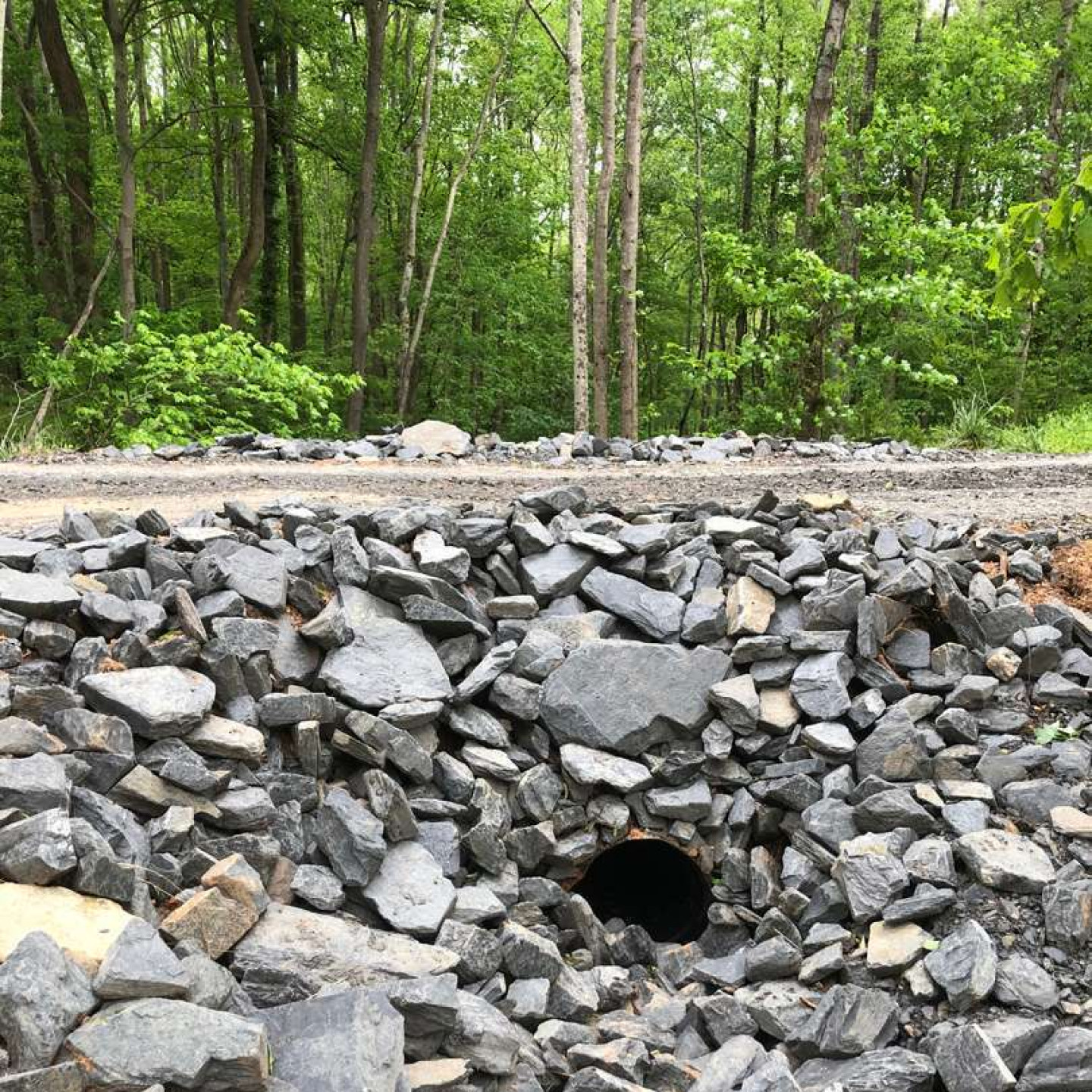 Lot Clearing, Foundation Sealing Reidsville & Greensboro, NC Hodges